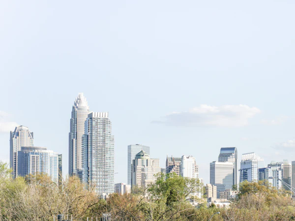 Charlotte's towers above spring trees