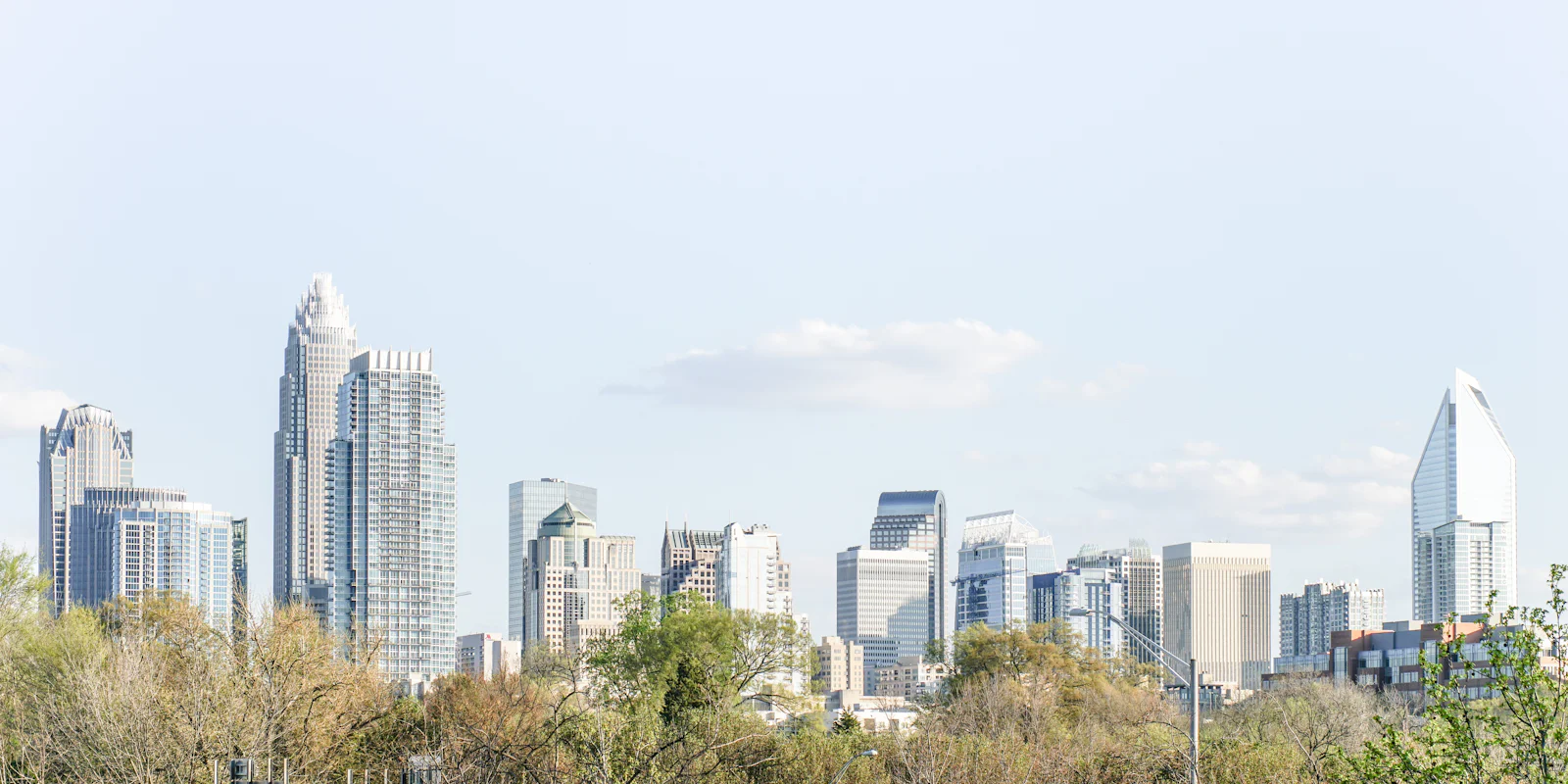 Charlotte's towers above spring trees