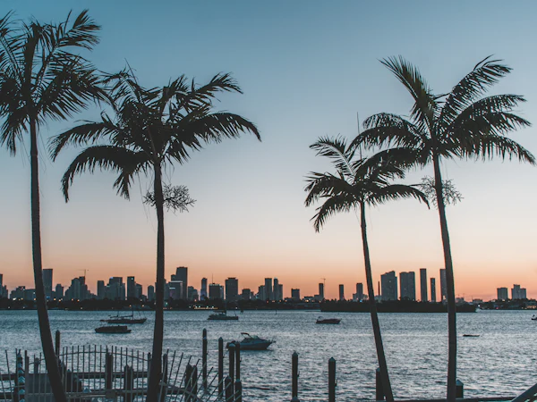 Palm trees in silhouette with the Miami skyline across the water at sunset