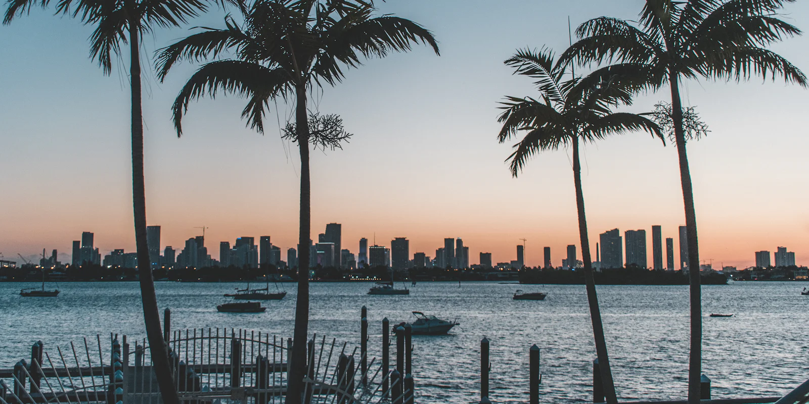 Palm trees in silhouette with the Miami skyline across the water at sunset