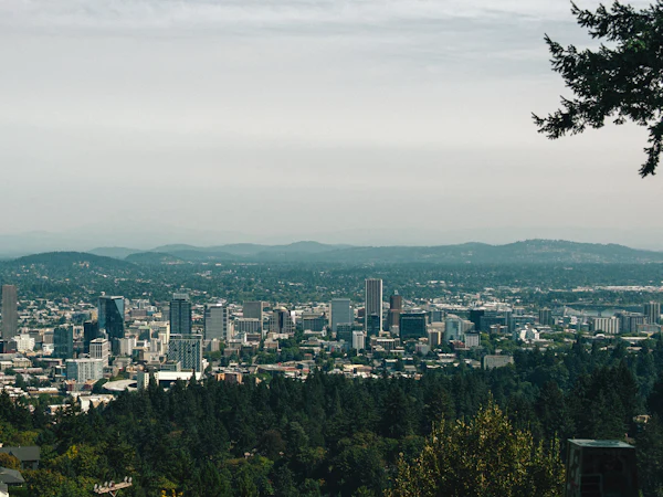 Downtown Portland seen through evergreens from Pittock Mansion under a cloudy sky