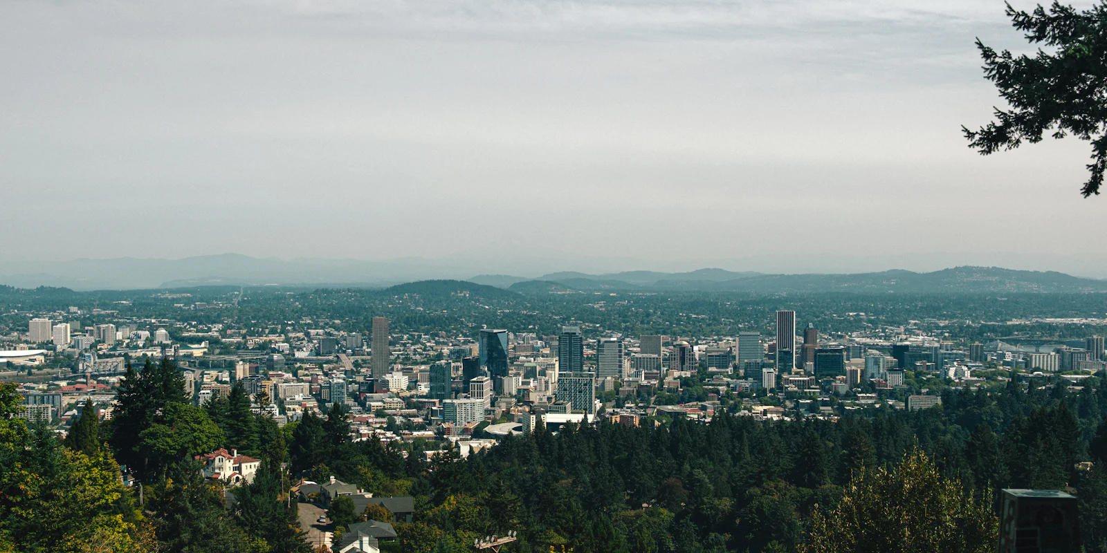 Downtown Portland seen through evergreens from Pittock Mansion under a cloudy sky