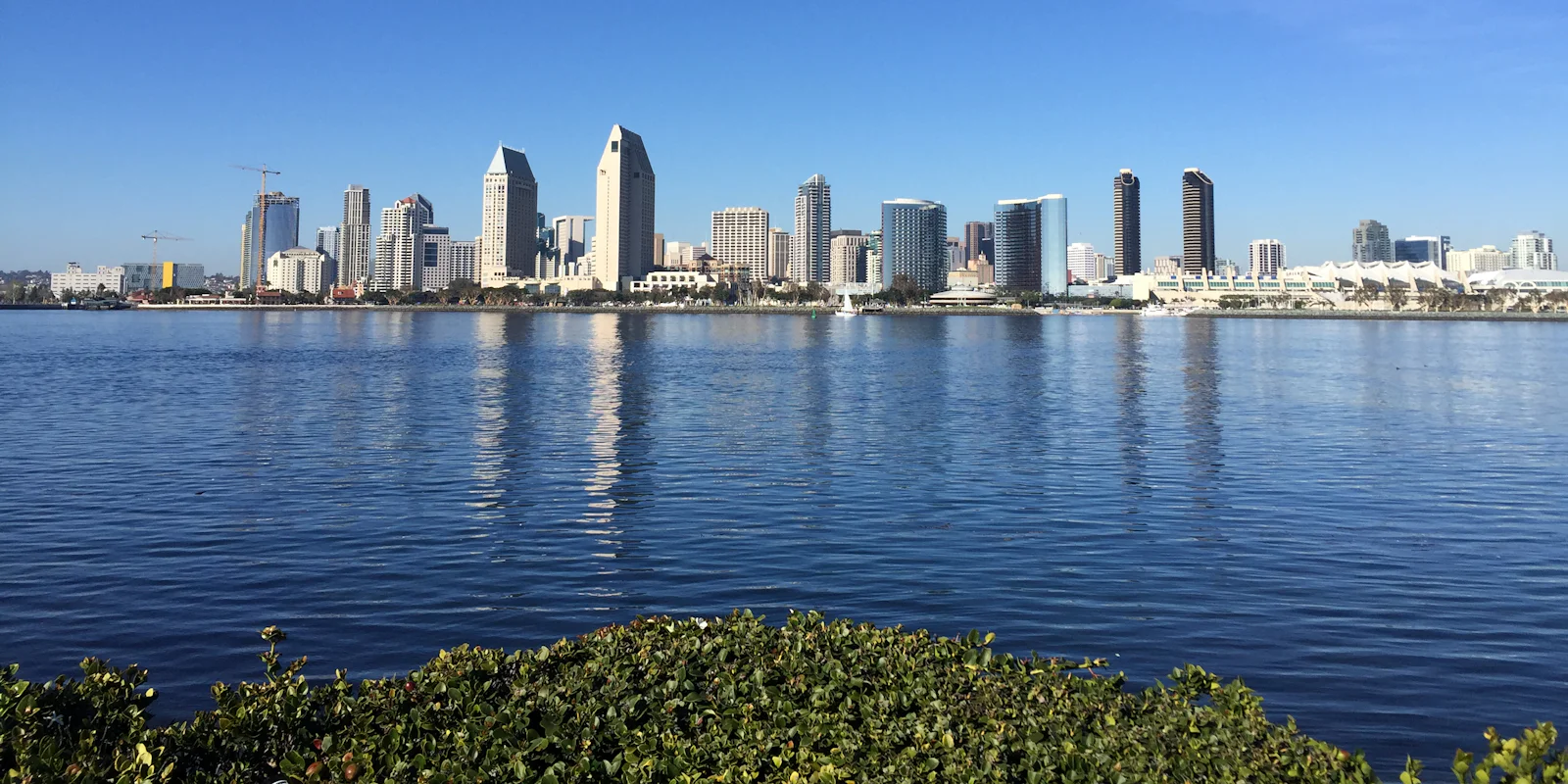 The San Diego skyline across the bay on a clear day